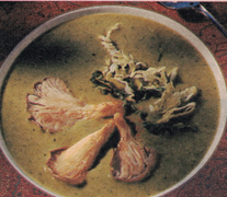 wirsing-curry-suppe.jpg