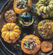 gefüllte_kürbisse.jpg